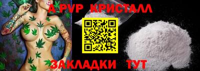 шишки Ставрополь