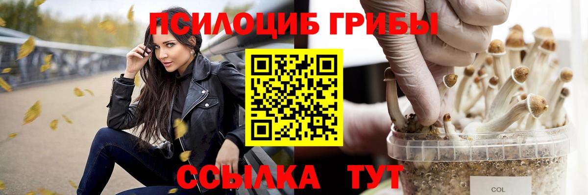 Нефтекамск  Псилоцибиновые грибы мухоморы  Вход с VPN  Псилоцибиновые грибы мицелий 